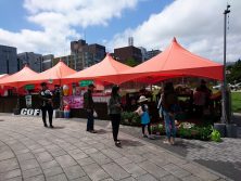 大通地区にぎわいフェスタのお店