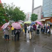 6月8日のパークガイドの様子