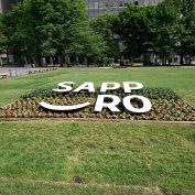 7丁目さっぽろスマイル花壇