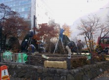 冬囲い２０１５