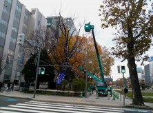 イルミネーション２０１５