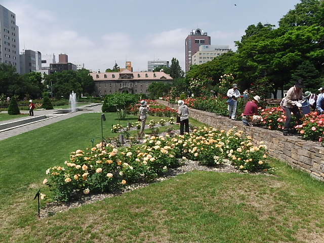 バラボランティア