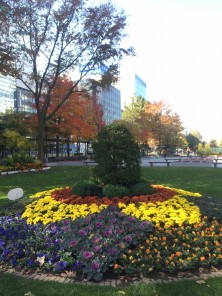 2015西２ﾊﾎﾞﾀﾝ