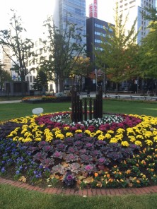 2015西５ﾊﾎﾞﾀﾝ