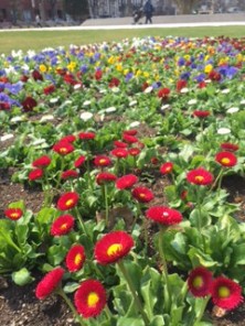 2016416　西４　3