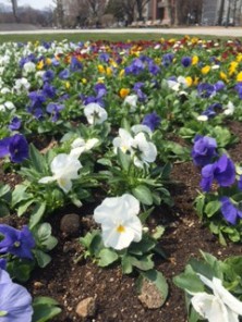 2016416　西４　4