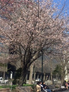 2016425　西７　1