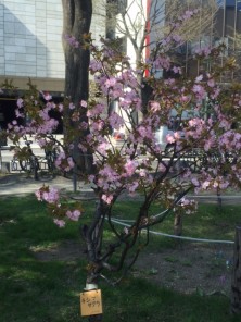 2016425　西３　1