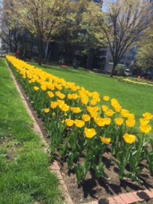 201658　西６　１