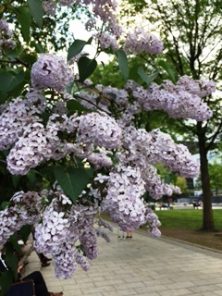 2017527　西2南側　1