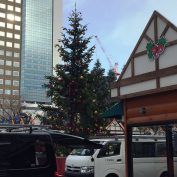 20171118 西2 ツリー