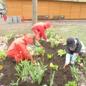 花壇維持管理ボランティア