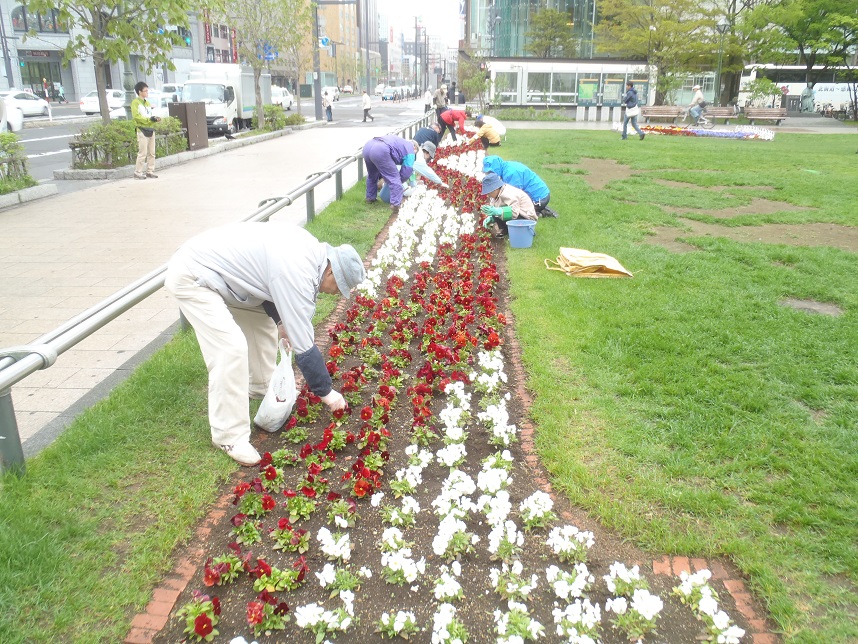 NPO法人シーズネット