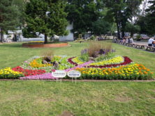 令和元年の花壇コンクール受賞花壇1