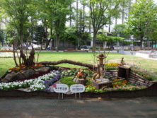 令和元年の花壇コンクール受賞花壇2