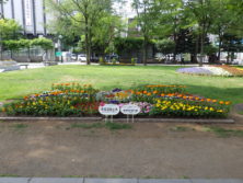 令和元年の花壇コンクール受賞花壇3