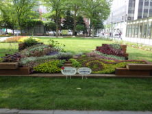 令和元年の花壇コンクール受賞花壇4