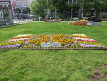 令和元年の花壇コンクール受賞花壇5