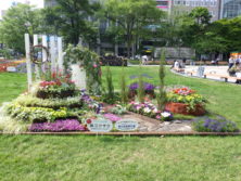 令和元年の花壇コンクール受賞花壇6