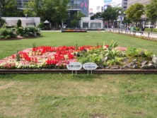 令和元年の花壇コンクール受賞花壇9