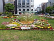 令和元年の花壇コンクール受賞花壇10