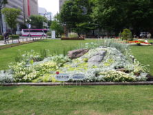 令和元年の花壇コンクール受賞花壇11