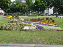 令和元年の花壇コンクール受賞花壇12