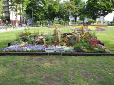 令和元年の花壇コンクール受賞花壇13