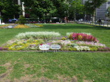 令和元年の花壇コンクール受賞花壇14