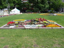 令和元年の花壇コンクール受賞花壇15