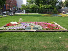 令和元年の花壇コンクール受賞花壇16