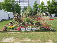 令和元年の花壇コンクール受賞花壇17