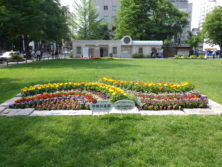 令和元年の花壇コンクール受賞花壇19