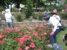 バラボランティア　７．０５