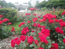 ７．０５　１２丁目　１