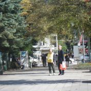 10月19日金曜日のパークガイドの様子