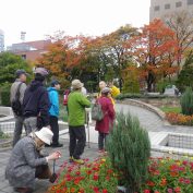 10月26日のパークガイドの様子7