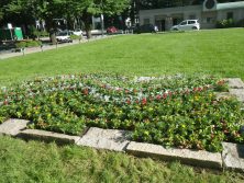 西7丁目　北東花壇の画像