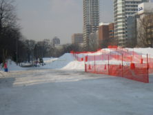 7丁目から8丁目に続く園路の画像