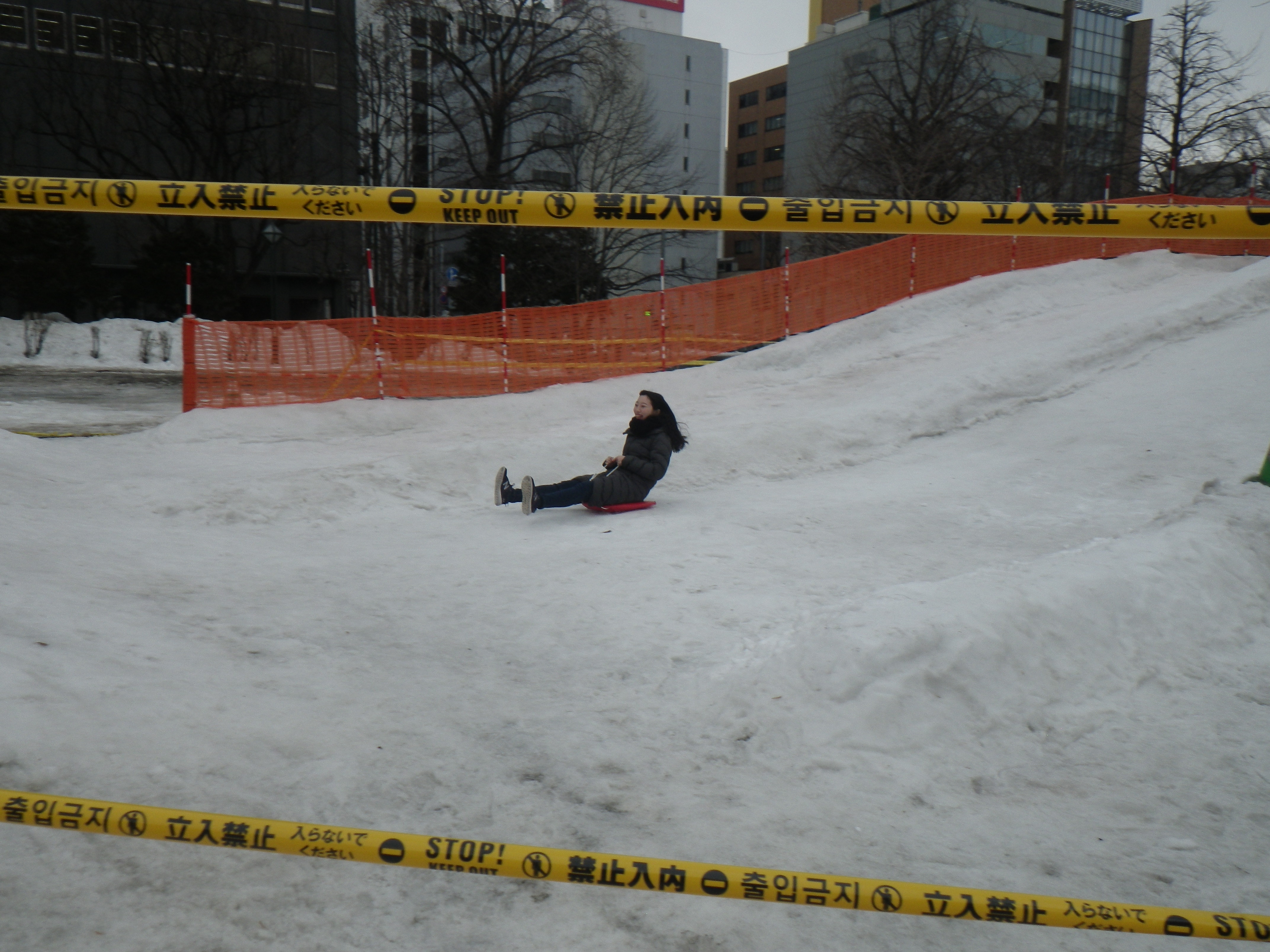 大通西7丁目ソリすべりの画像