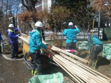 西1丁目冬囲い撤去の画像