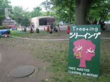 西6丁目ツリーイングの画像