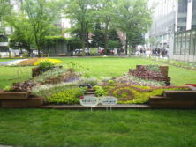 ㈱真栄緑化土木の花壇の画像