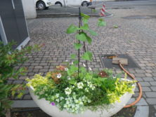 西7　売店横のコンテナ右側の画像