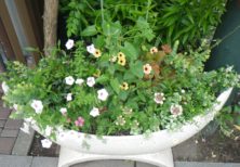 西7　売店横のコンテナ左側の画像