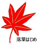 落葉はじめ
