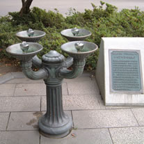 ベンソンの水飲みの画像