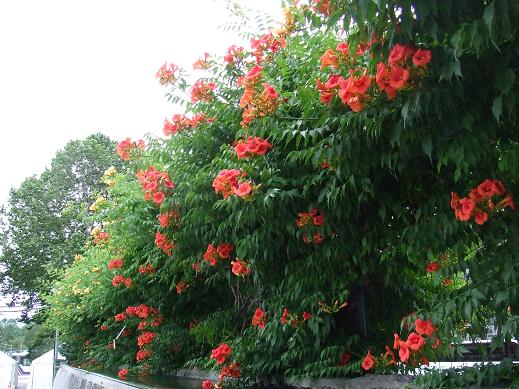 ?A?????J?m?E?[???J?Y??