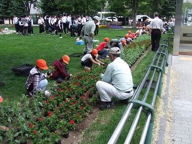 西２　中央小学校