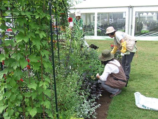 ボランティア作業風景